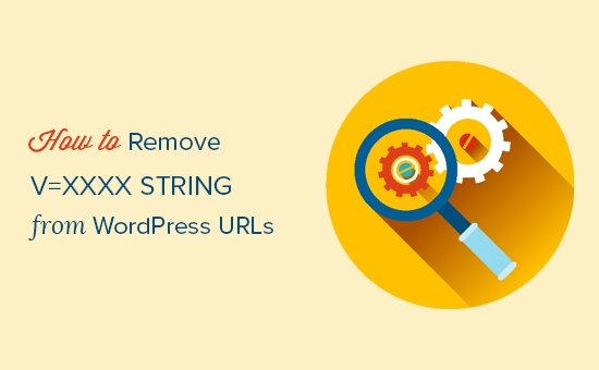Làm thế nào để Hủy bỏ v = xxxx chuỗi từ WordPress URL 