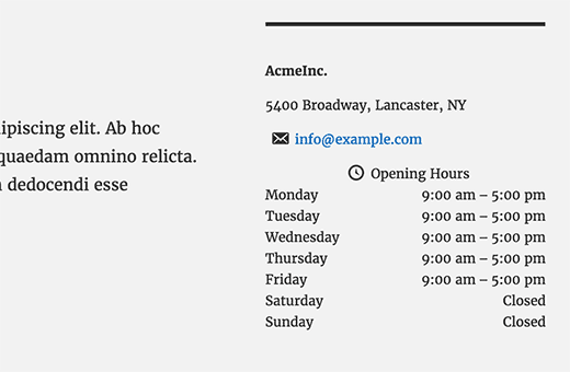 Thông tin doanh nghiệp và giờ mở cửa trong WordPress 