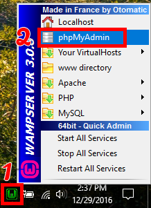 Khởi chạy PHPMyAdmin 