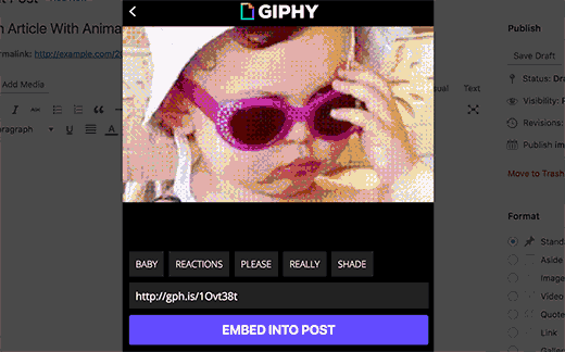 Nhúng Giphy 