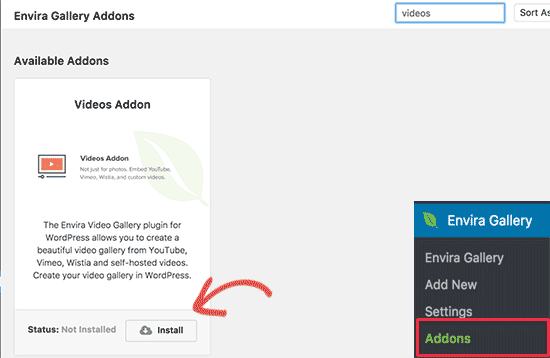 Tiếp theo, bạn cần phải tìm đến Envira Gallery »Addons page.  Bạn sẽ thấy tất cả các addons có sẵn để bạn cài đặt.  Tìm kiếm Video addon và cài đặt nó. 